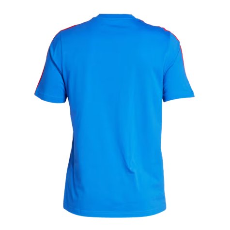 2024-2025 Italy DNA Tee (Blue) (IMMOBILE 17)