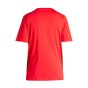 2023-2024 Spain DNA T-Shirt (Red) (RAUL 7)