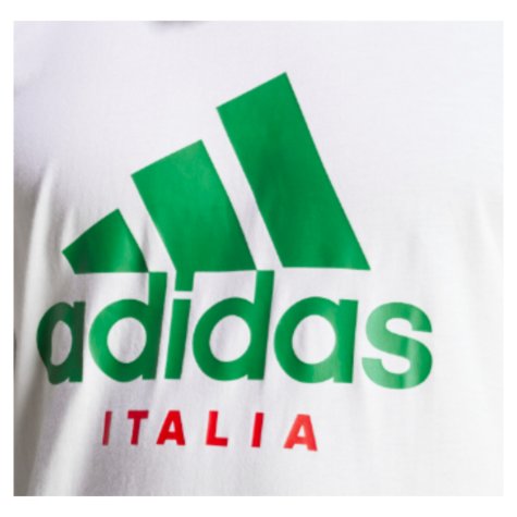 2024-2025 Italy DNA Graphic Tee (White) (ZACCAGNI 20)