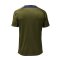 2023-2024 PSG Dri-Fit Strike Fourth Training Shirt (Green Hemp) (Ibrahimovic 10)