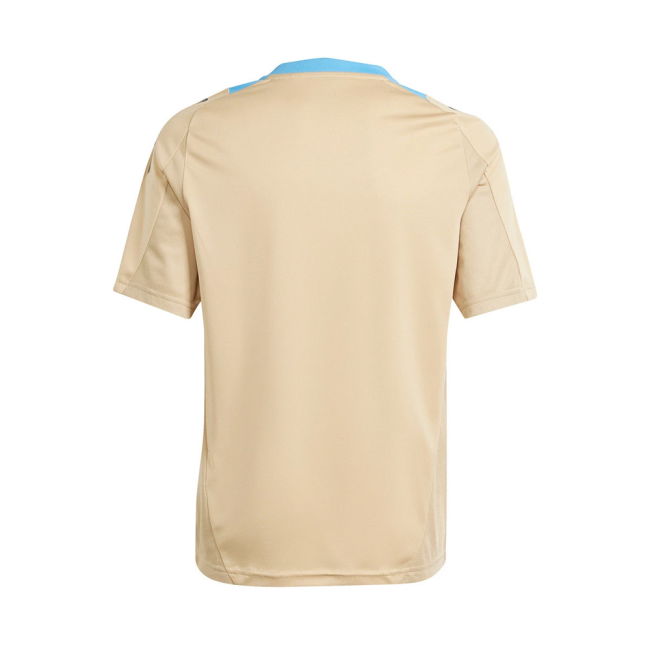 2024-2025 Argentina Training Jersey (Hazy Beige) (MAC ALLISTER 20)