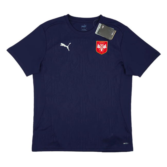 2024-2025 Serbia Training Jersey (Navy) (Matic 21)