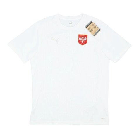 2024-2025 Serbia Training Jersey (White) (Gudelj 6)