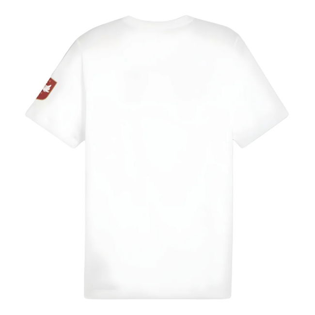 2024-2025 Serbia FtblIcons Tee (White) (Mitrovic 9)
