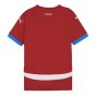 2024-2025 Serbia Home Shirt (Kids) (Tadic 10)