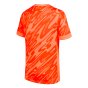 2024-2025 England Home Goalkeeper Shirt (Orange) - Kids (Pickford 1)