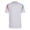 2024-2025 Italy Authentic Away Shirt (SPINAZZOLA 4)