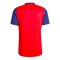 2024-2025 Spain Training Jersey (Red) (David Villa 7)