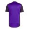 2024-2025 Germany Training Jersey (Purple) (Musiala 10)
