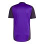 2024-2025 Germany Training Jersey (Purple) (Your Name)