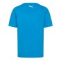 2024 Williams Racing Mens Logo T-Shirt (Electric Blue)