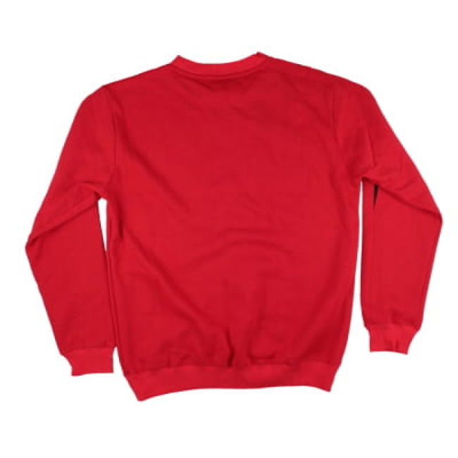 2015-2016 Airdrie Crew Neck Training Jumper (Red)