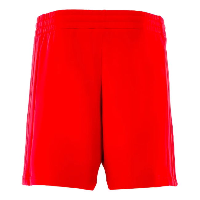 2024-2025 Bayern Munich DNA Shorts (Red)