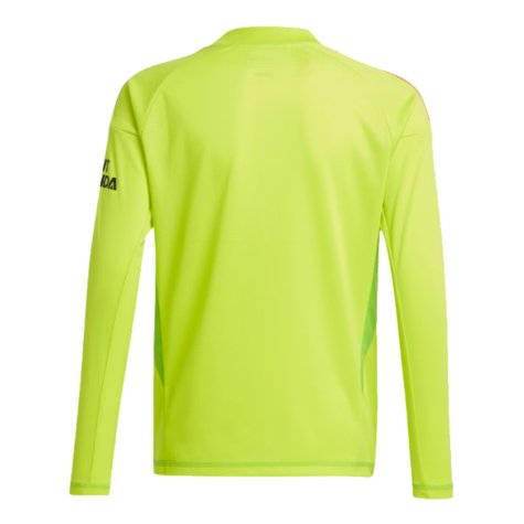 Arsenal goalkeeper kit kids online