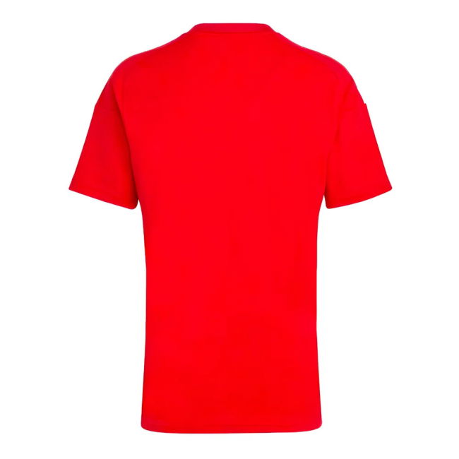 2024-2025 Hungary Home FAN Shirt (SZOBOSZLAI 10)