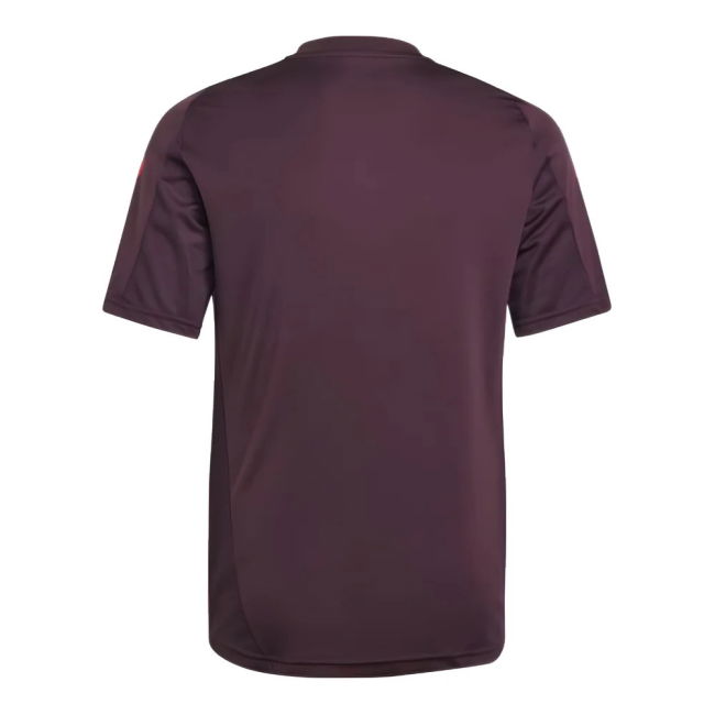 2024-2025 Bayern Munich Training Tee (Shadow Maroon) - Kids (Olise 17)