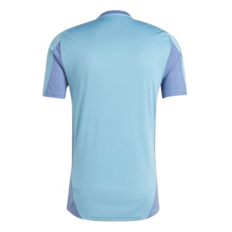 2024-2025 Ajax Training Jersey (Tactile Steel) (Your Name)