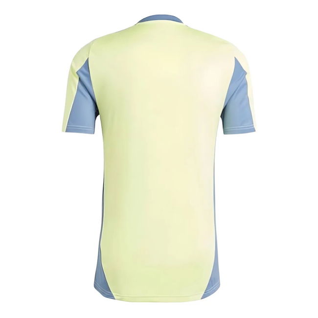 2024-2025 Ajax Training Jersey (Pulse Yellow) (Davids 8)