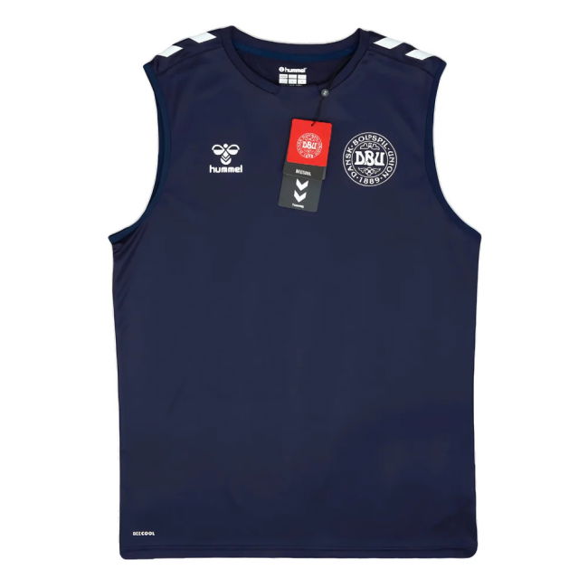 2024-2025 Denmark Sleeveless Training Jersey (Marine) (Your Name)