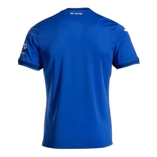 2024-2025 Hoffenheim Home Shirt (Firmino 10)