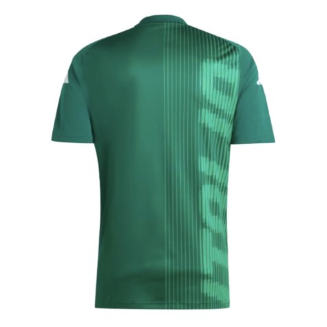 2024-2025 Italy Pre-Match Shirt (Green) (ACERBI 15)