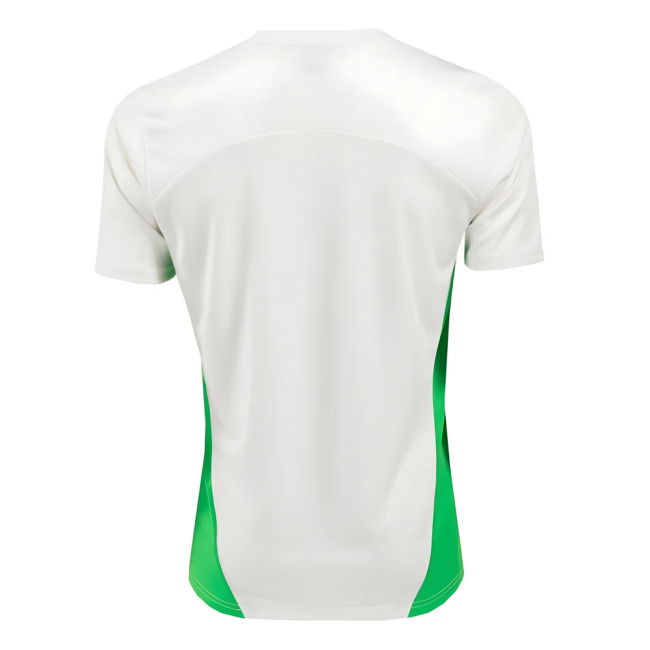 2024-2025 PSV Eindhoven Training Shirt (White)