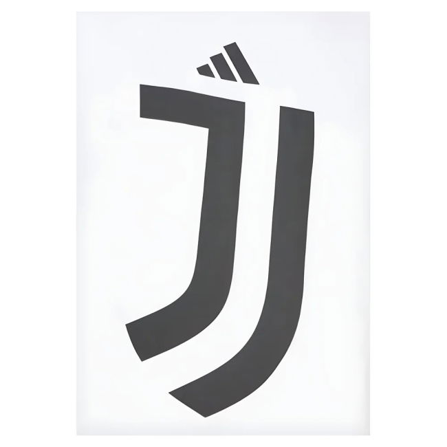 2024-2025 Juventus DNA Graphic Tee (White)
