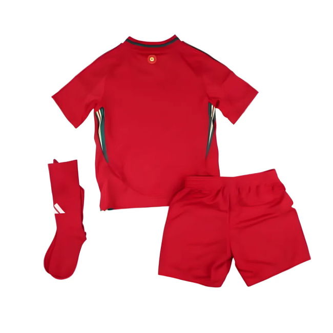 2024-2025 Wales Home Mini Kit