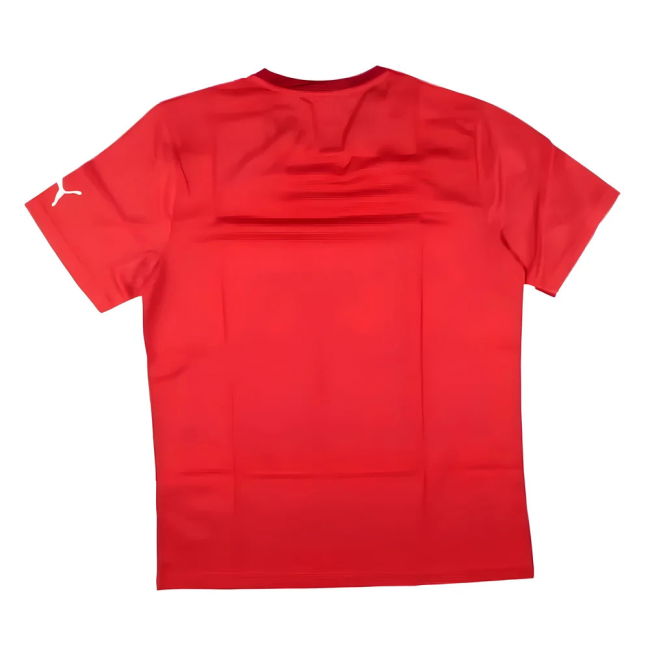 Puma Training Tee (Red)