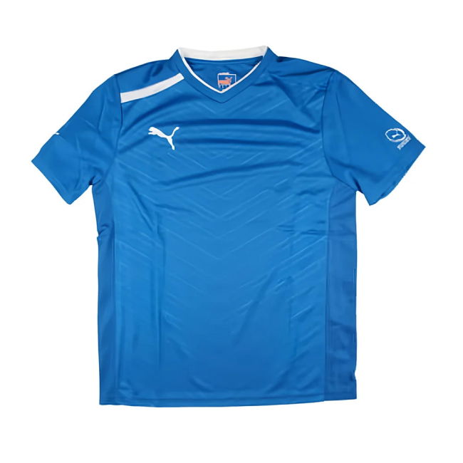 Puma Training Tee (Blue) (Your Name)