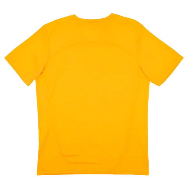 2024-2025 Galatasaray Training Shirt (Orange)