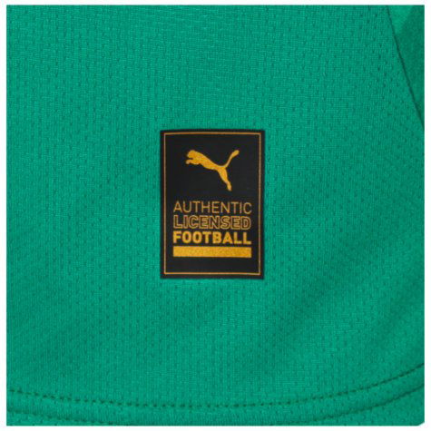 2024-2025 Plymouth Argyle Home Shirt (Houghton 4)