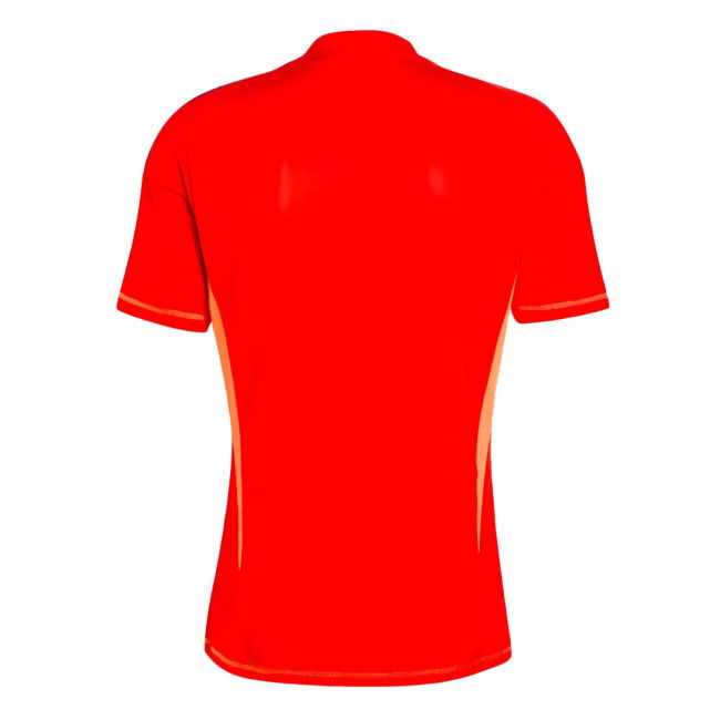 2024-2025 Juventus Home Goalkeeper Shirt (Red)