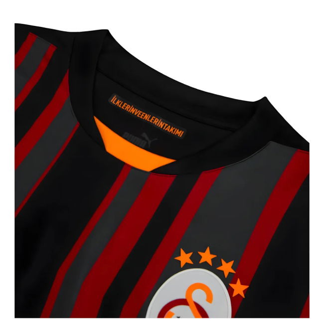 2024-2025 Galatasaray Third Shirt