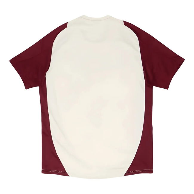 2024-2025 Bayern Munich EU Training Jersey (Linen) (Olise 17)
