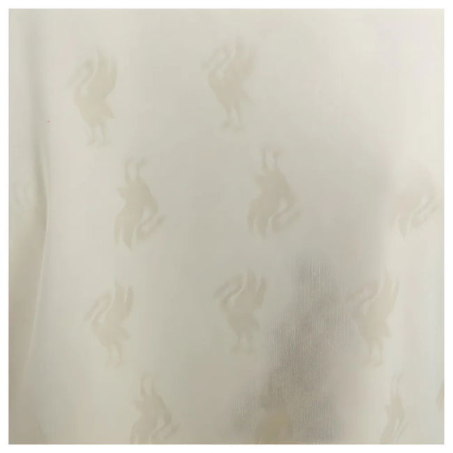 1996-1997 Liverpool Away Retro Shirt (BARNES 10)