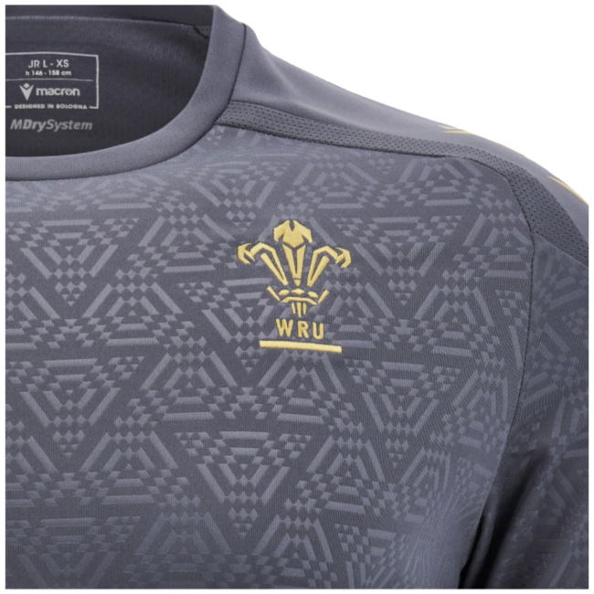 2024-2025 Wales WRU Rugby Training Poly Shirt (Anthracite) - Kids