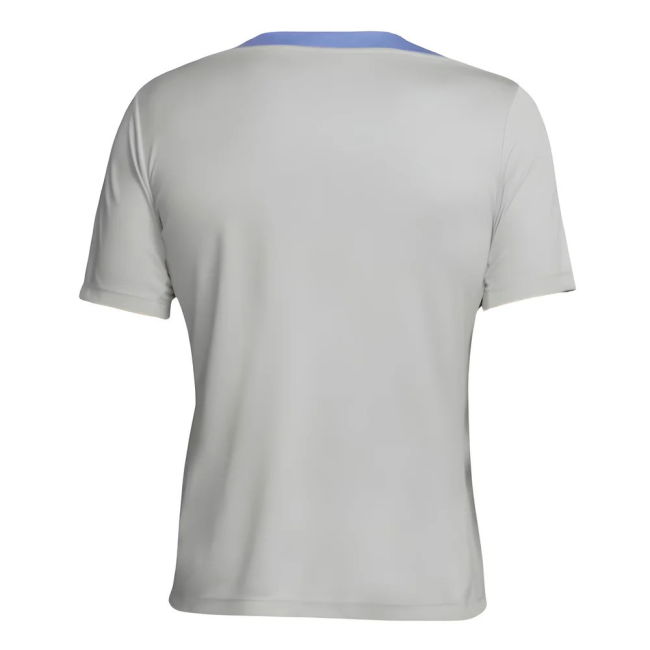 2024-2025 Tottenham Strike Training Jersey (Grey) (Danso 4)