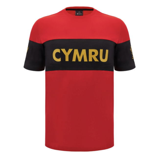 2024-2025 Wales Rugby Leisure T-Shirt (Red) (Your Name)