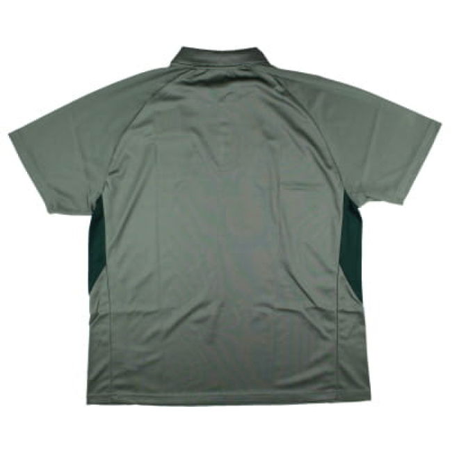 2024-2025 Feyenoord Pro Player Presentation Polo Shirt (Green)