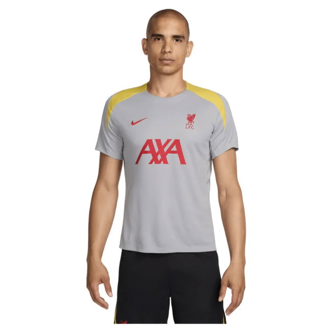 2024-2025 Liverpool Strike Third Shirt (Grey) (Darwin 9)