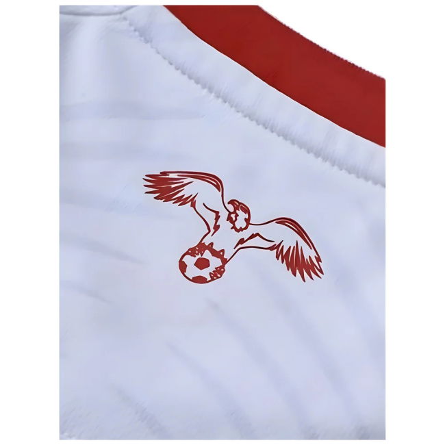 2024-2025 Jordan Home Shirt