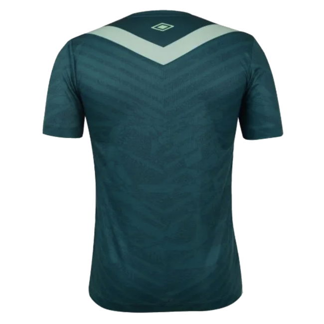 2024-2025 Chapecoense Third Shirt