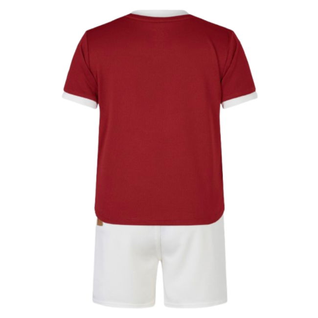 2024-2025 British and Irish Lions Home Rugby Mini Kit