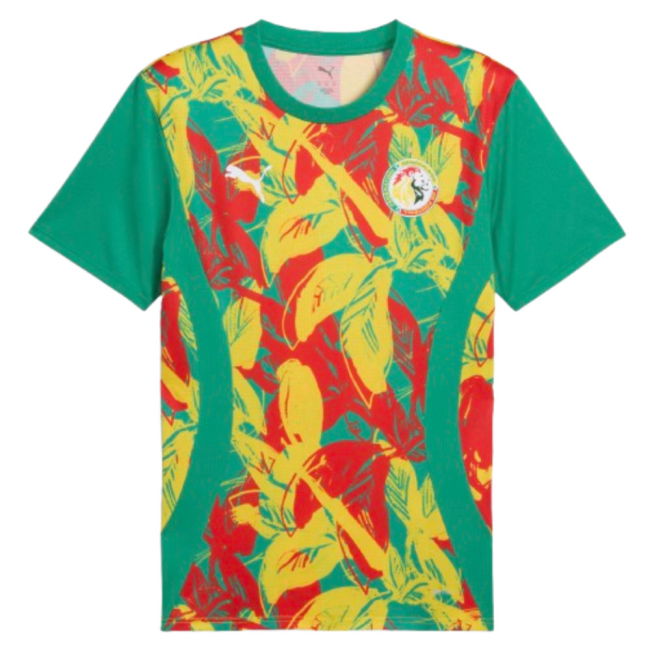 2024-2025 Senegal Prematch SS Jersey (Green) (Your Name)