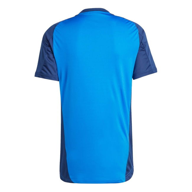2024-2025 Juventus Training Jersey (Blue)