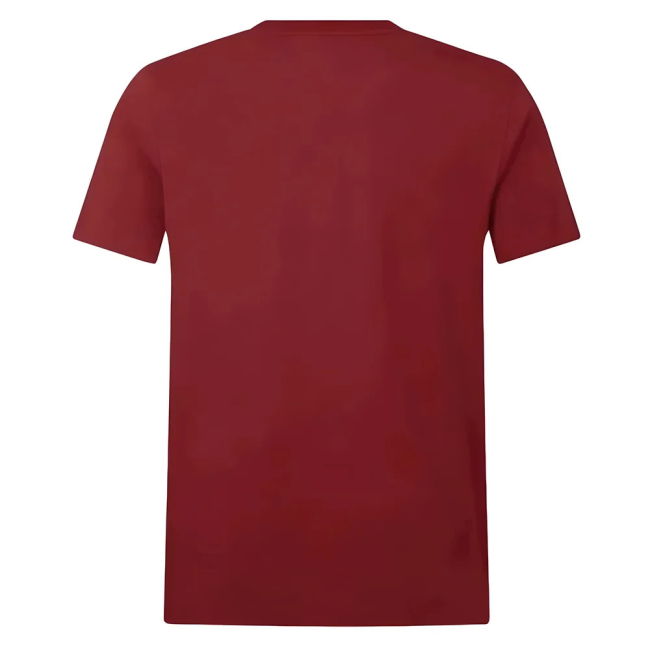 2025 British & Irish Lions Cotton Jersey T-Shirt - Red