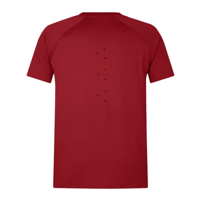 2025 British & Irish Lions Everest Tee (Red)