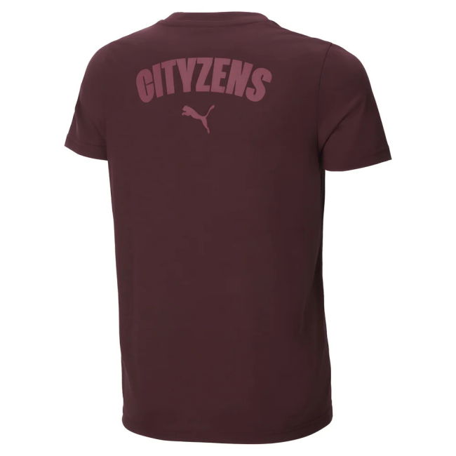 2024-2025 Man City Casuals Tee (Dark Jasper)