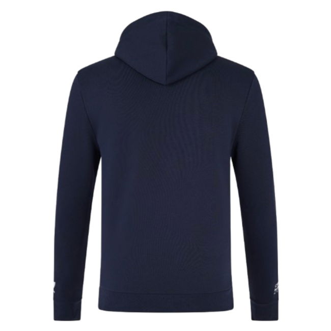 2025 Red Bull Racing Graphic Bull Hoodie (Night Sky)